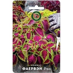 Цв.Колеус Фаервэй Роз (Био) 10шт