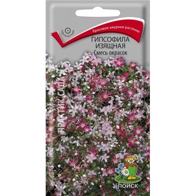 Цв.Гипсофила Смесь окрасок  изящная (Поиск) 0,2г