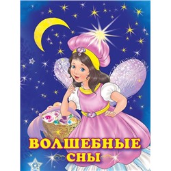 Кн. Принцессы. Волшебные сны  16 цветн.стр. 26*19,5см 25427