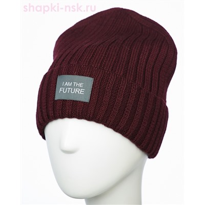 117/FL SHM Колпак мужской флис (58-60)