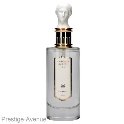 Antonio Maretti Madonna edp for women 100 ml