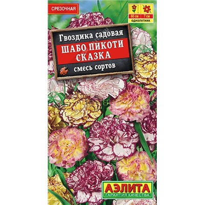 Гвоздика Шабо Пикоти Сказка (Аэлита)