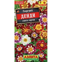 Георгина воротниковая Денди (Аэлита)
