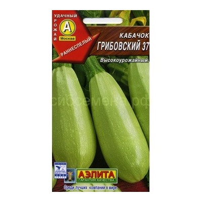 Кабачок Грибовские 37 (Аэлита)
