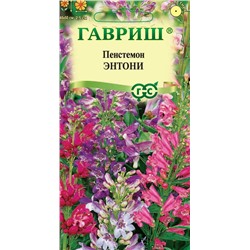 Пенстемон Энтони смесь гибридный (Гавр)