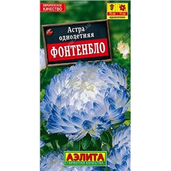 Астра Фонтенбло пионовидная (Аэлита)