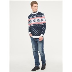 Джемпер мужской 222-12336