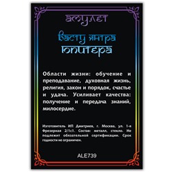 ALE739 Амулет ВАСТУ ЯНТРА ЮПИТЕРА, кулон со шнурком (металл, размер кулона 36х28 мм.), 1 шт.