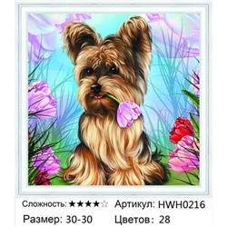 AM33 HWH0216, 30х30 см