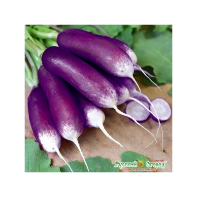Редис Полезный завтрак (НК) 2г