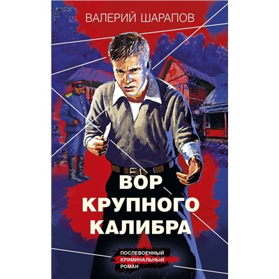 Вор крупного калибра