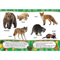 Все-все-все для малышей. Хищники