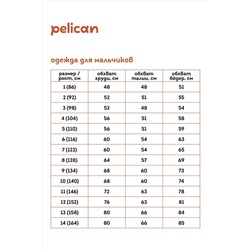 Брюки PELICAN #965106