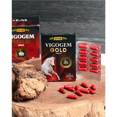 VIGOGEM GOLD Capsules, Vyas (ВИГОДЖЕМ (вигогем) ГОЛД, мужской тоник, Вьяс), 10 капс. - СРОК ГОДНОСТИ ДО 30 НОЯБРЯ 2024 ГОДА