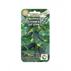Огурец Сибирский экспресс F1 (Сиб.Сад) 7шт