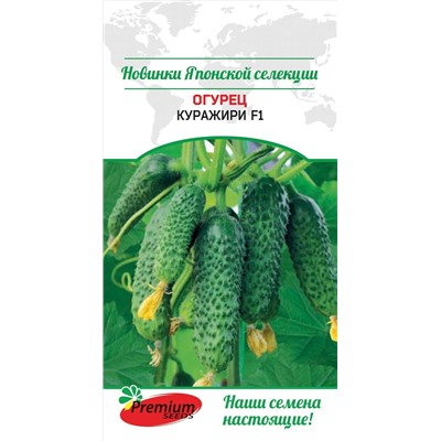 Огурец Куражири F1 (Премиум)