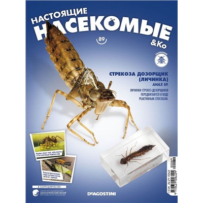 Журнал № 89 "Настоящие насекомые" (Стрекоза дозорщик. Личинка)