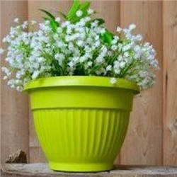 Горшок Флора d17 1,6л фисташковый с поддон.
