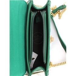 Сумка женская искусственная кожа DJ-7011-1-GREEN,  1отд,  плечевой ремень  (цепочка),  зеленый 255979