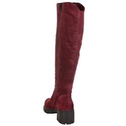 Ботфорты Francesco Donni F5R2 3L360-03