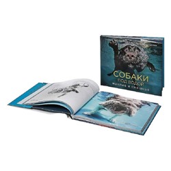 Собаки под водой. Мокрые и смешные