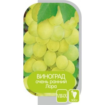 Виноград Лора (Сем.Алтая)
