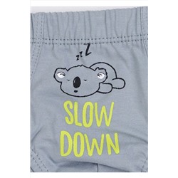 Трусы CLEVER #810546