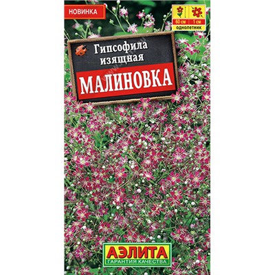 Гипсофила Малиновка Аэлита