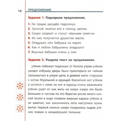 Русский язык. 2 класс. Универсальный тренажер
