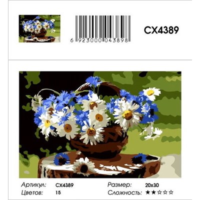 РМ СХ4389, 20х30 см