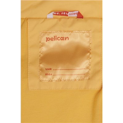 Ветровка PELICAN #963539