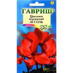 Цв.Цикламен Ассоль темно-лососевый (Гавриш) 3шт/ком