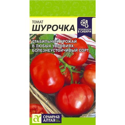 Томат Шурочка Сем.Алтая