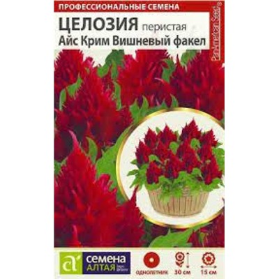 Цв.Целозия Айс Крим Вишневый факел перистая 7шт (Сем.Алтая)