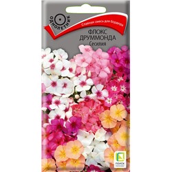 Флокс Сесилия смесь пастельных тонов (П)