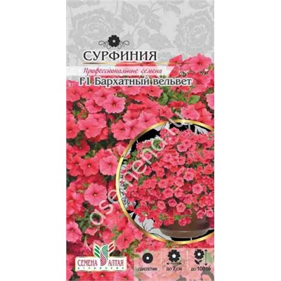 Цв.Петуния Сурфиния Бархатный Вельвет F1 (Сем.Алтая) 5шт