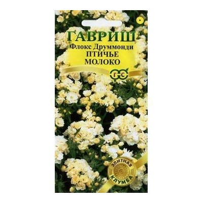 Флокс Птичье молоко (Гавр)