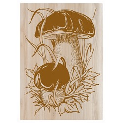 Набор досок с рисунком для выжигания А5 и А4 «Грибы-боровики и Витязь» (4 штуки)