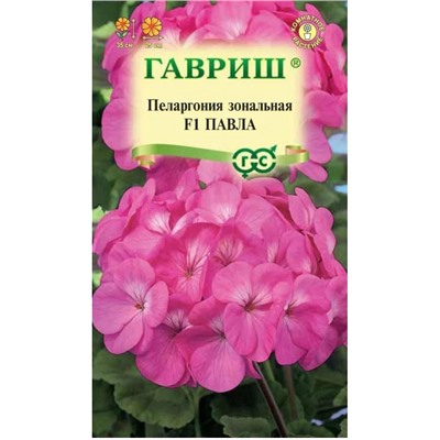 Пеларгония Павла F1 комнатная