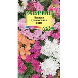 Цв.Льюизия Элис туполистная (Гавриш) 5шт