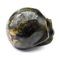 Череп из лабрадора 99*75*73мм, 792г