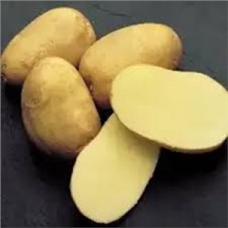 Картофель Инноватор (Россия) ЭС меш.~25кг