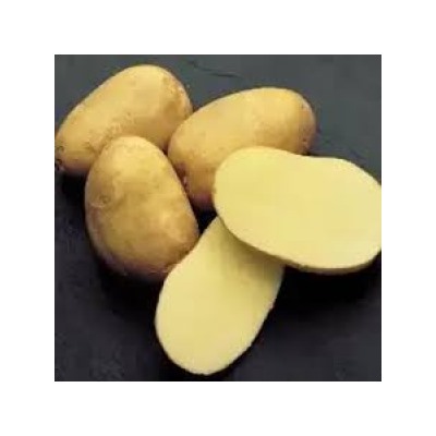 Картофель Инноватор (Россия) ЭС меш.~25кг