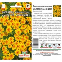 Цв.Барх.Золотой самоцвет (Сем.Алтая) 0,1г тонколист. низ.