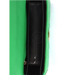 Сумка женская искусственная кожа DJ-CH 21113-GREEN,  1отд,  плечевой ремень,  зеленый 253971