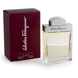 FERRAGAMO men 100ml edt
