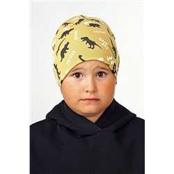 Шапка CLEVER #869252