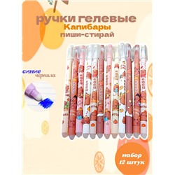 Ручки пиши-стирай, 12шт 60973