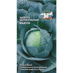 Капуста бк Вьюга (Седек)