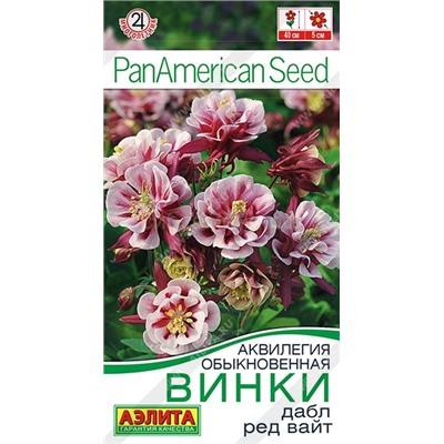 Аквилегия Винки дабл ред вайт (Аэлита)